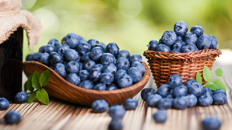 A Blueberry is a Healthy Fruit, According to Research